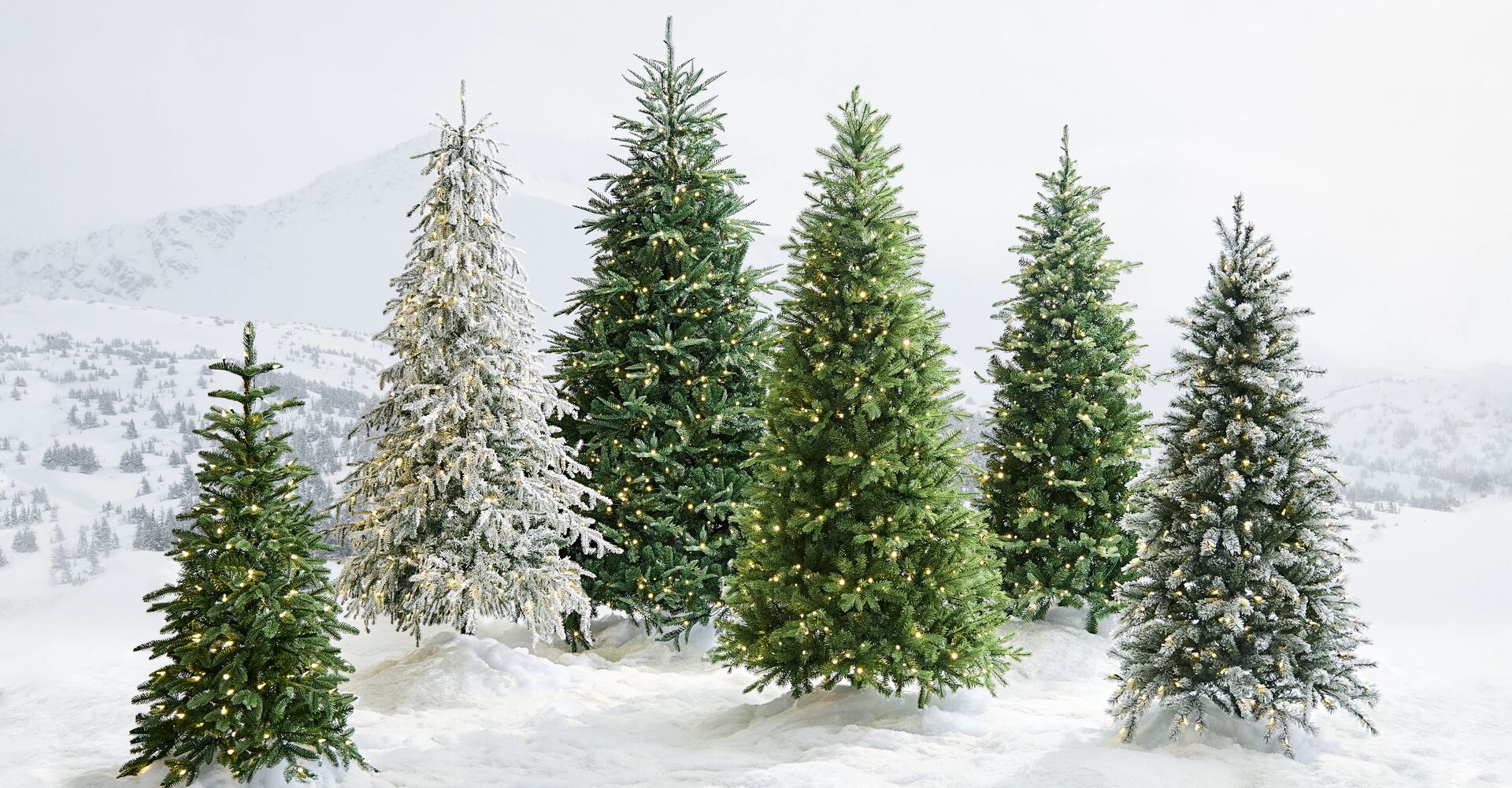 GlucksteinHome Christmas trees